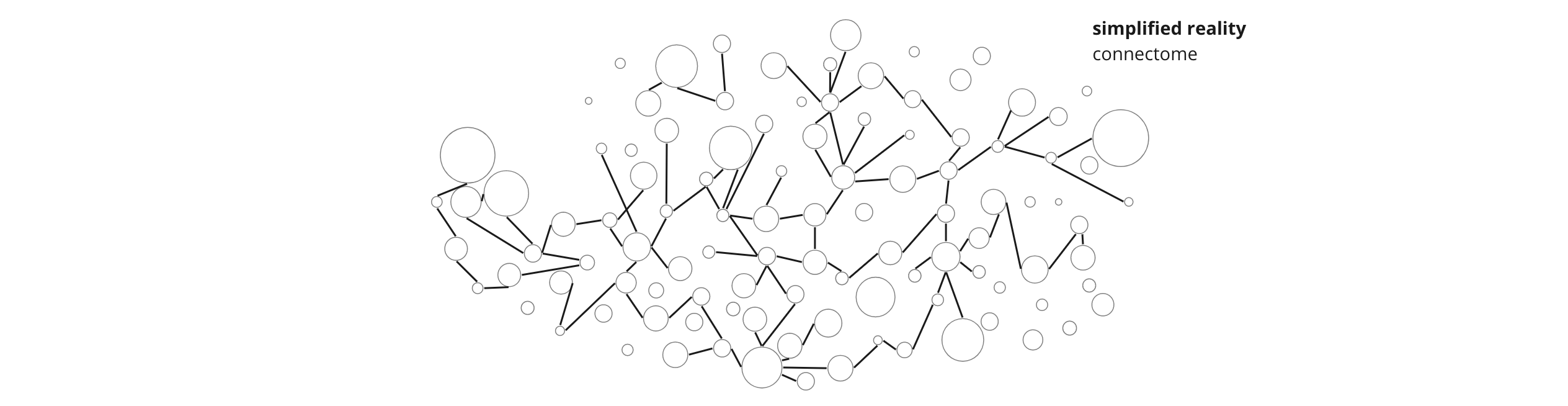 elastic_connectome.png